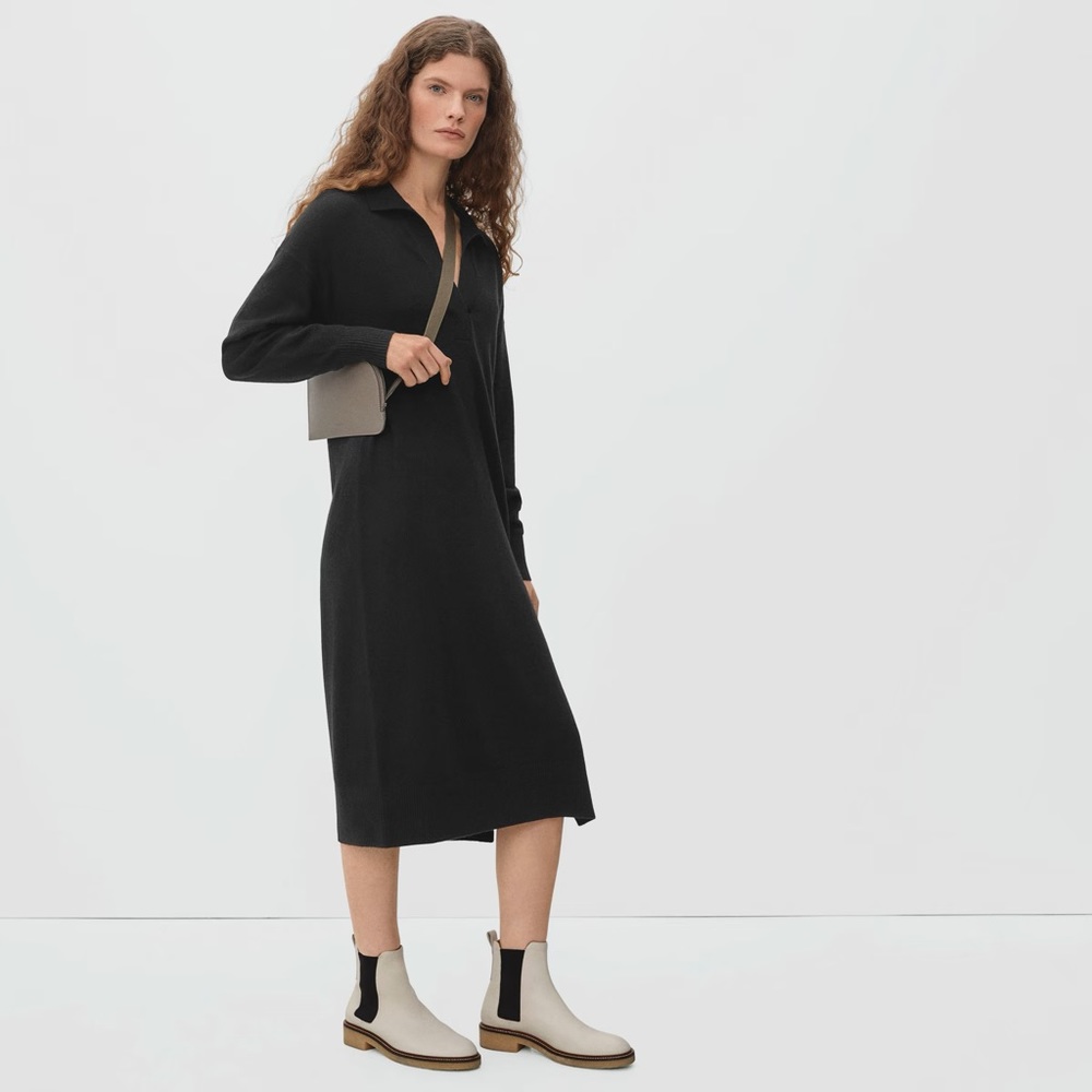SOLD NFS - Everlane Cashmere Polo Dress